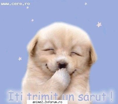 puneti orce poze vreti - o sa pun si eu ceva - poze